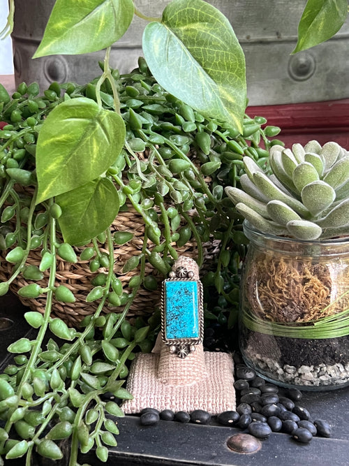 {{ brindle_boutique }} {{ online_boutique }} {{ jeans}} {{ brindle boutique }} {{ handbags }} {{ Native American jewelry }} {{ jewelry }} {{ cowhide}} {{ leather handbag}} {{ cowhide purse}} {{ turquoise}} {{ Navajo pearls }} {{ sterling silver}} {{ sterling silver pearls }} {{ necklace }} {{ bracelet }} {{ earrings }} {{ pendants }} {{ Navajo }} {{ cowhide tote }} {{ jeans }} {{ kan can }} {{ haute southern hyde }} {{ countryside co. }} {{ western }}