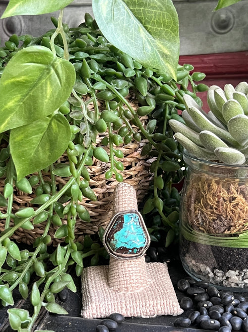 {{ brindle_boutique }} {{ online_boutique }} {{ jeans}} {{ brindle boutique }} {{ handbags }} {{ Native American jewelry }} {{ jewelry }} {{ cowhide}} {{ leather handbag}} {{ cowhide purse}} {{ turquoise}} {{ Navajo pearls }} {{ sterling silver}} {{ sterling silver pearls }} {{ necklace }} {{ bracelet }} {{ earrings }} {{ pendants }} {{ Navajo }} {{ cowhide tote }} {{ jeans }} {{ kan can }} {{ haute southern hyde }} {{ countryside co. }} {{ western }}