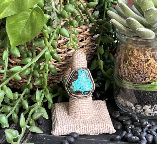 {{ brindle_boutique }} {{ online_boutique }} {{ jeans}} {{ brindle boutique }} {{ handbags }} {{ Native American jewelry }} {{ jewelry }} {{ cowhide}} {{ leather handbag}} {{ cowhide purse}} {{ turquoise}} {{ Navajo pearls }} {{ sterling silver}} {{ sterling silver pearls }} {{ necklace }} {{ bracelet }} {{ earrings }} {{ pendants }} {{ Navajo }} {{ cowhide tote }} {{ jeans }} {{ kan can }} {{ haute southern hyde }} {{ countryside co. }} {{ western }}
