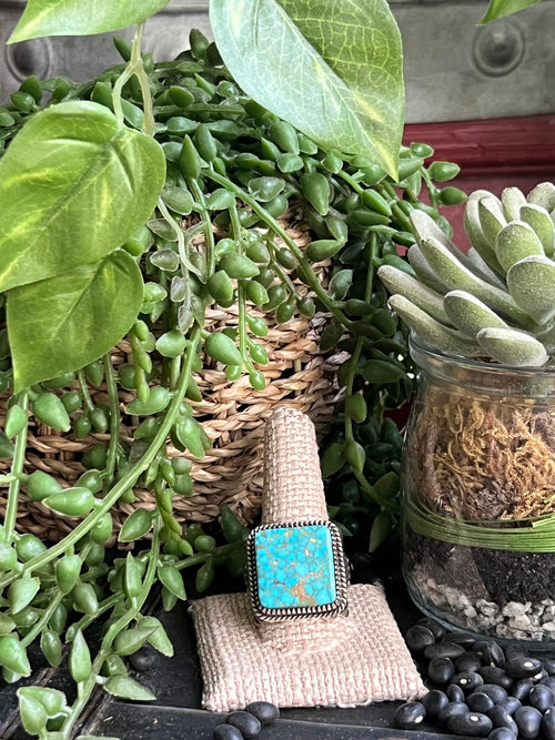 {{ brindle_boutique }} {{ online_boutique }} {{ jeans}} {{ brindle boutique }} {{ handbags }} {{ Native American jewelry }} {{ jewelry }} {{ cowhide}} {{ leather handbag}} {{ cowhide purse}} {{ turquoise}} {{ Navajo pearls }} {{ sterling silver}} {{ sterling silver pearls }} {{ necklace }} {{ bracelet }} {{ earrings }} {{ pendants }} {{ Navajo }} {{ cowhide tote }} {{ jeans }} {{ kan can }} {{ haute southern hyde }} {{ countryside co. }} {{ western }}