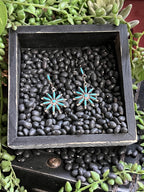 {{ brindle_boutique }} {{ online_boutique }} {{ jeans}} {{ brindle boutique }} {{ handbags }} {{ Native American jewelry }} {{ jewelry }} {{ cowhide}} {{ leather handbag}} {{ cowhide purse}} {{ turquoise}} {{ Navajo pearls }} {{ sterling silver}} {{ sterling silver pearls }} {{ necklace }} {{ bracelet }} {{ earrings }} {{ pendants }} {{ Navajo }} {{ cowhide tote }} {{ jeans }} {{ kan can }} {{ haute southern hyde }} {{ countryside co. }} {{ western }}